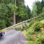 BFV Deutschlandsberg: Unwettereinsätze im Bezirk, Katastrophenhilfsdiensteinsatz in Niederösterreich