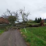 BFV Deutschlandsberg: Unwettereinsätze im Bezirk, Katastrophenhilfsdiensteinsatz in Niederösterreich