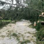 BFV Deutschlandsberg: Unwettereinsätze im Bezirk, Katastrophenhilfsdiensteinsatz in Niederösterreich