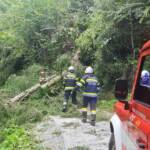 BFV Deutschlandsberg: Unwettereinsätze im Bezirk, Katastrophenhilfsdiensteinsatz in Niederösterreich
