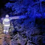 BFV Deutschlandsberg: Unwettereinsätze im Bezirk, Katastrophenhilfsdiensteinsatz in Niederösterreich