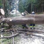 BFV Deutschlandsberg: Unwettereinsätze im Bezirk, Katastrophenhilfsdiensteinsatz in Niederösterreich