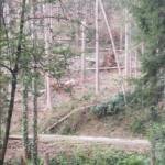 BFV Deutschlandsberg: Unwettereinsätze im Bezirk, Katastrophenhilfsdiensteinsatz in Niederösterreich