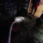 Einsatzmarathon durch Hochwasser