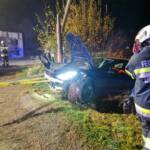 E-PKW touchierte Strommast