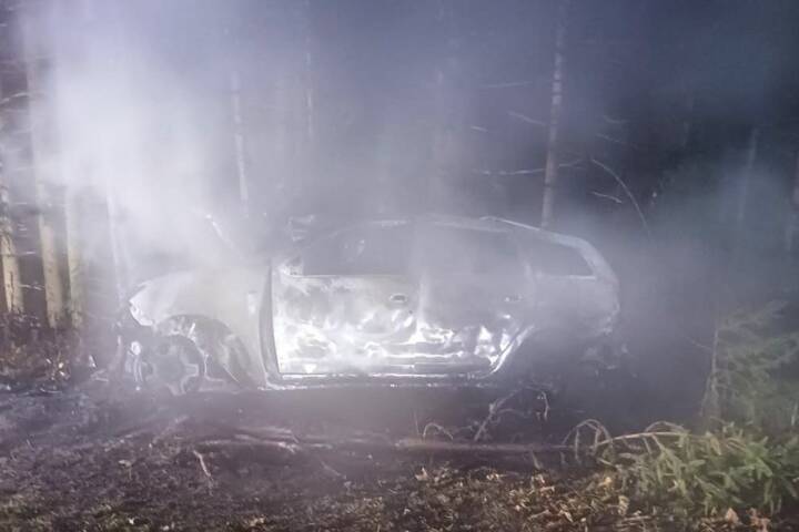 BFVDL: Fahrzeugbrand auf der B69