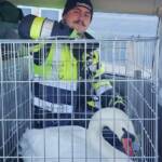 Tierrettung am Stefanitag