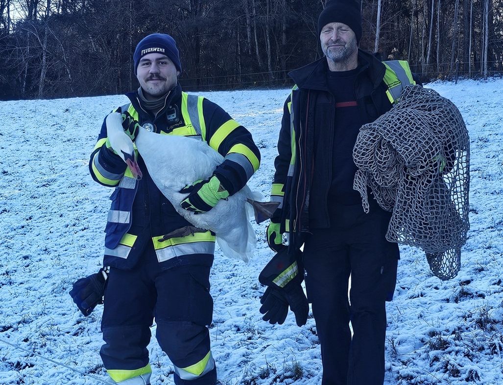 HFW Villach: Tierrettung am Stefanitag