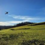 Forstunfall mit Schwerverletztem in Eibiswald