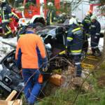 Menschenrettung im Bezirk Waidhofen