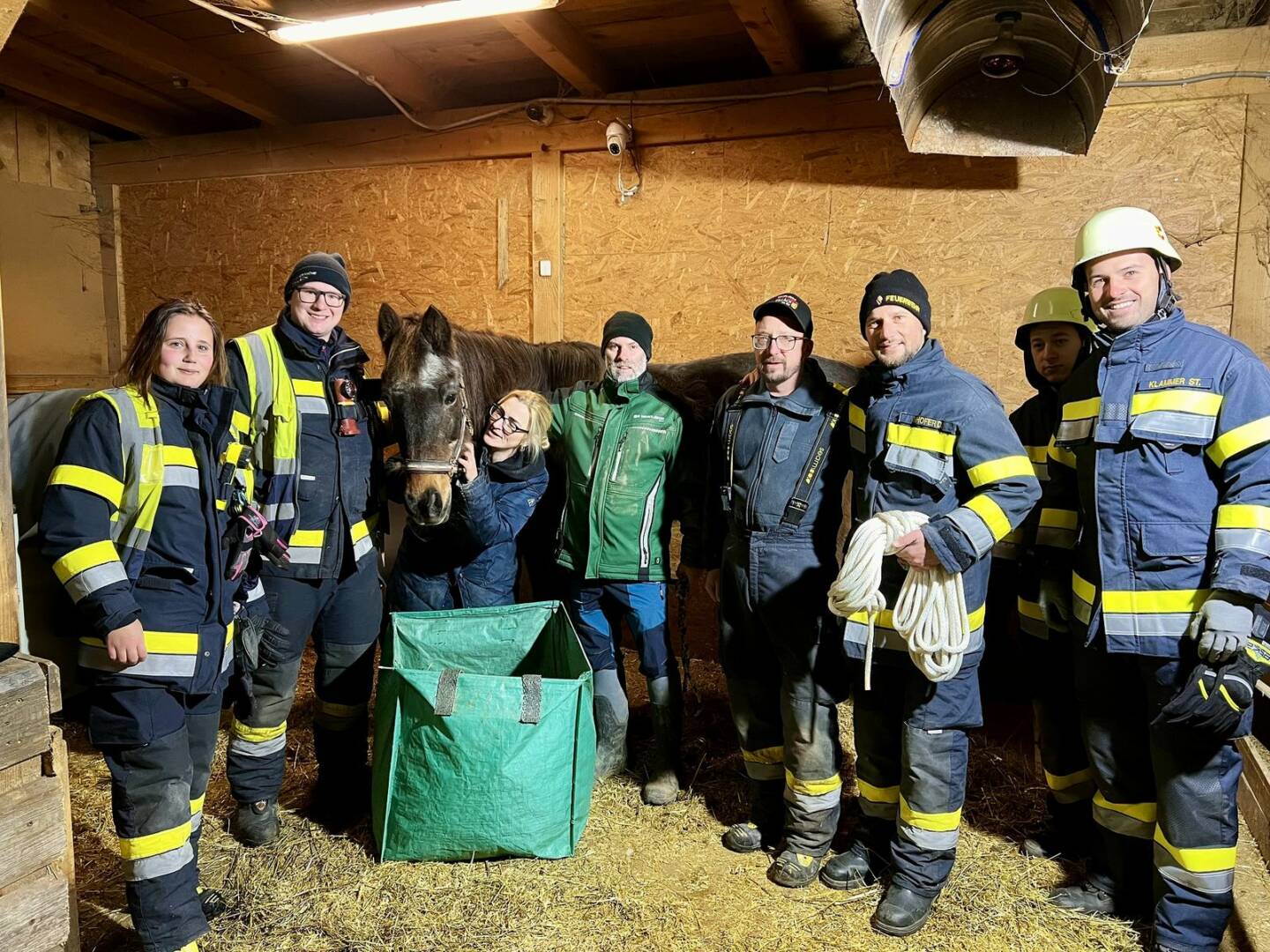 HFW Villach: Erfolgreiche Tierrettung – Pferdestute war gestürzt