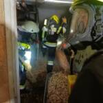 Brand einer Hackschnitzelanlage