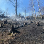 BFKdo Völkermarkt: Waldbrände fordern Feuerwehren aus dem Bezirk Völkermarkt