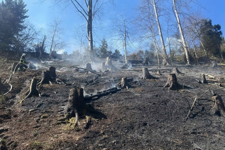 BFKdo Völkermarkt: Waldbrände fordern Feuerwehren aus dem Bezirk Völkermarkt