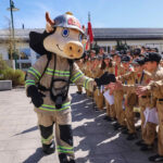 BFKDO Flachgau: Wissensspiel & -test der Feuerwehrjugend