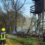 BFK Waidhofen/Thaya: Waldbrand rasch gelöscht