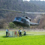 BFKDO Baden: Übung – Großer Waldbrand im Triestingtal