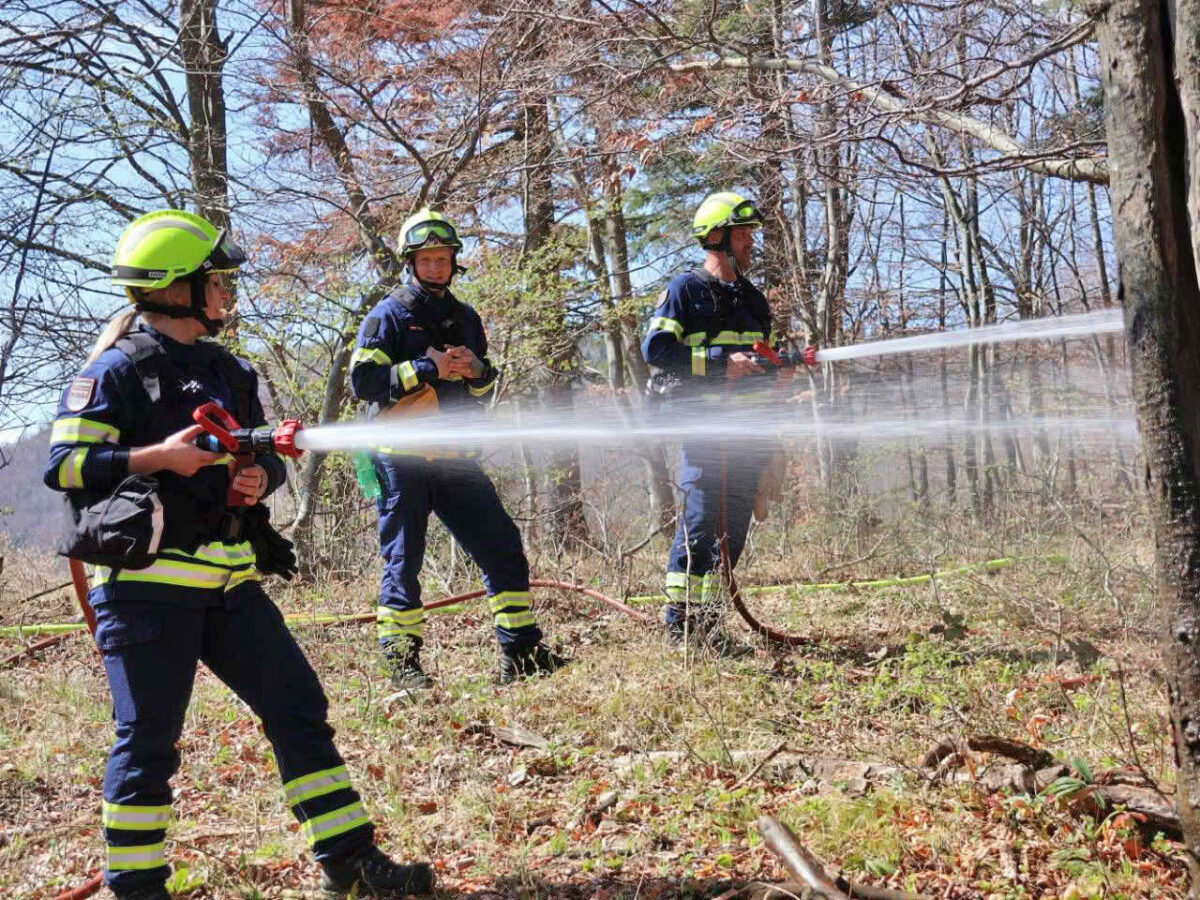 Waldbrandübung im Triestingtal, Flugdienst Feuerwehr, Bundesheer, Polizei