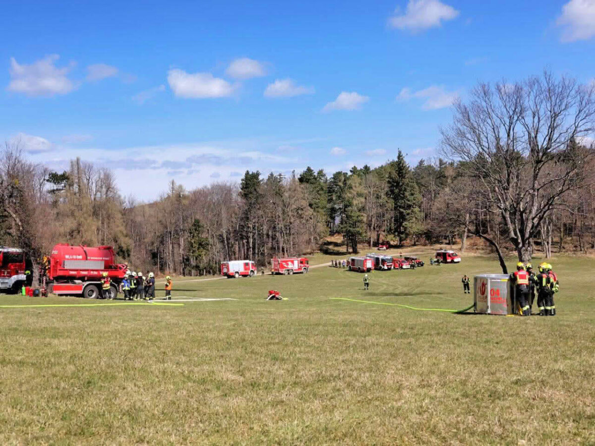 Waldbrandübung im Triestingtal, Flugdienst Feuerwehr, Bundesheer, Polizei