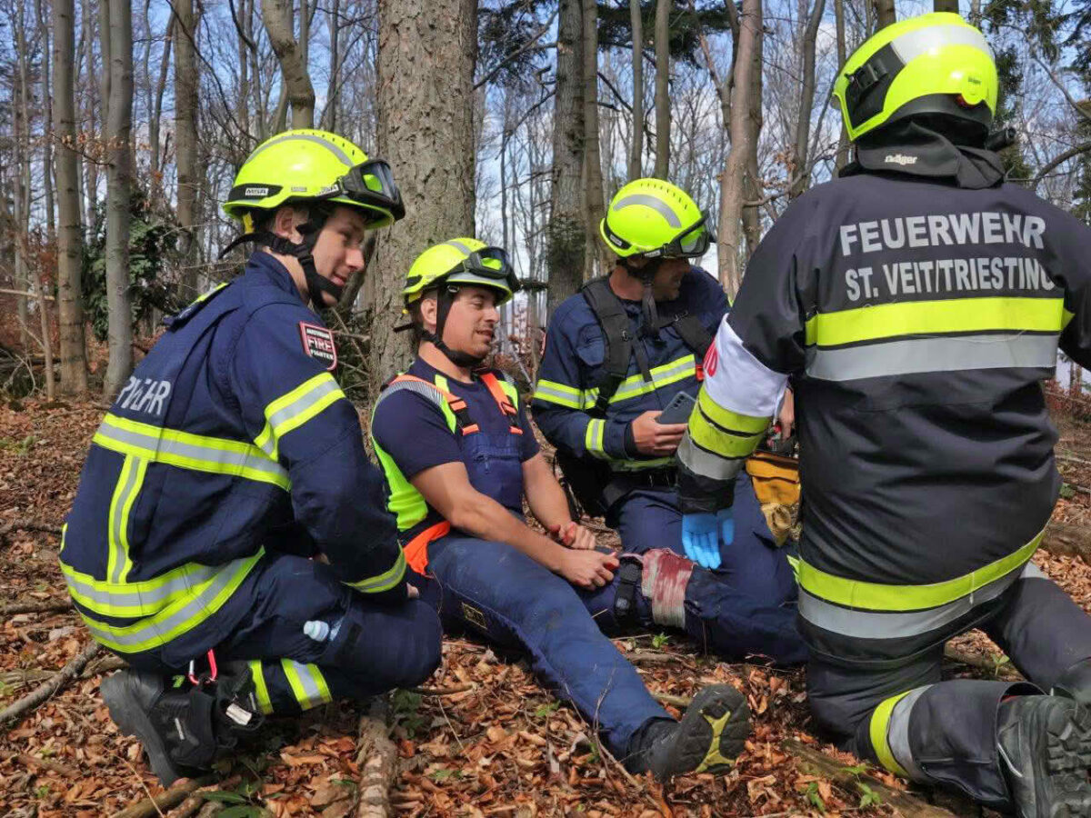 Waldbrandübung im Triestingtal, Flugdienst Feuerwehr, Bundesheer, Polizei