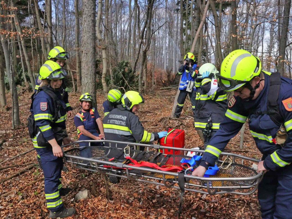 Waldbrandübung im Triestingtal, Flugdienst Feuerwehr, Bundesheer, Polizei