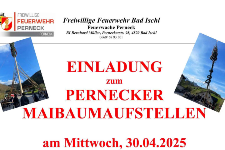 Pernecker Maibaumaufstellen