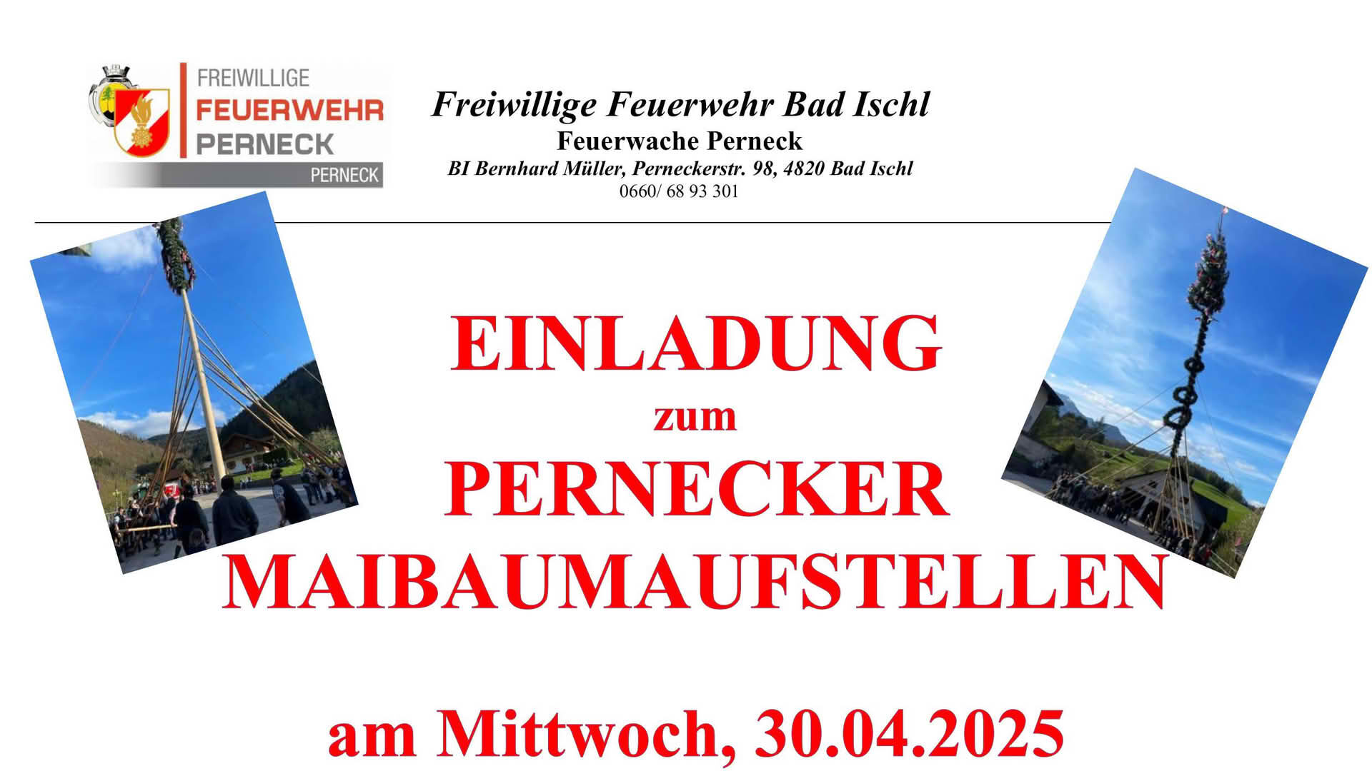 Pernecker Maibaumaufstellen