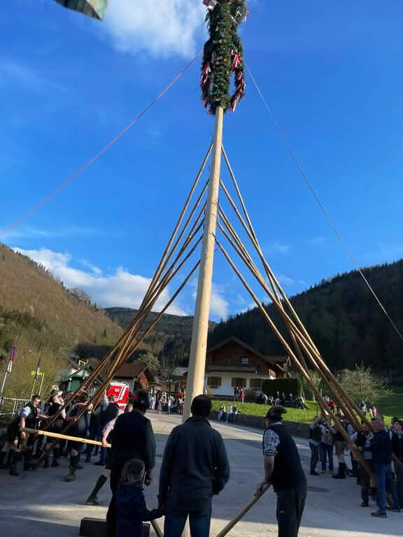 FF Bad Ischl: Pernecker Maibaumaufstellen 3 Pernecker Maibaumaufstellen