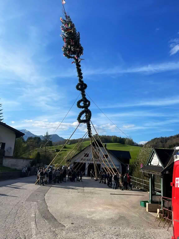 FF Bad Ischl: Pernecker Maibaumaufstellen 4 Pernecker Maibaumaufstellen