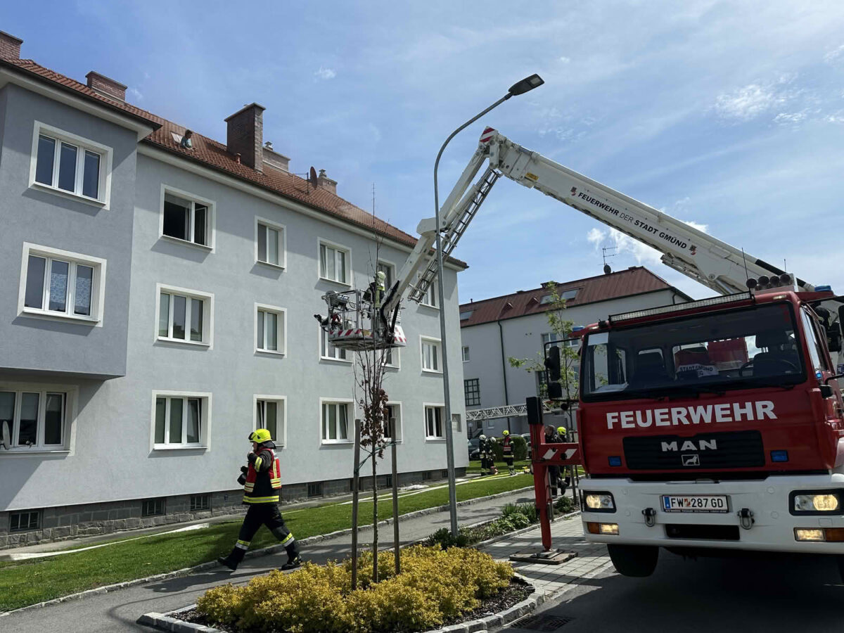 Brandeinsatz mit Menschenrettung in Gmünd