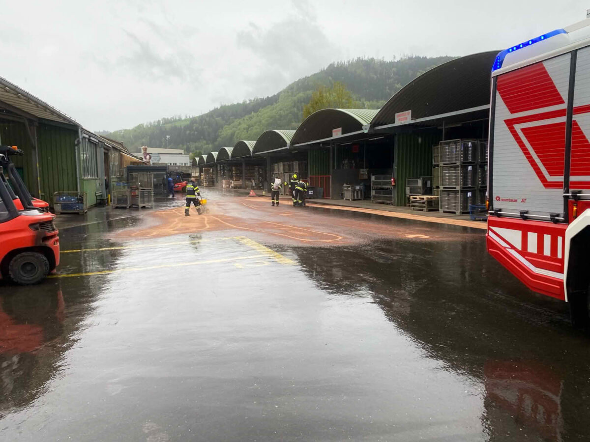 Massiver Ölverlust bei Stapler