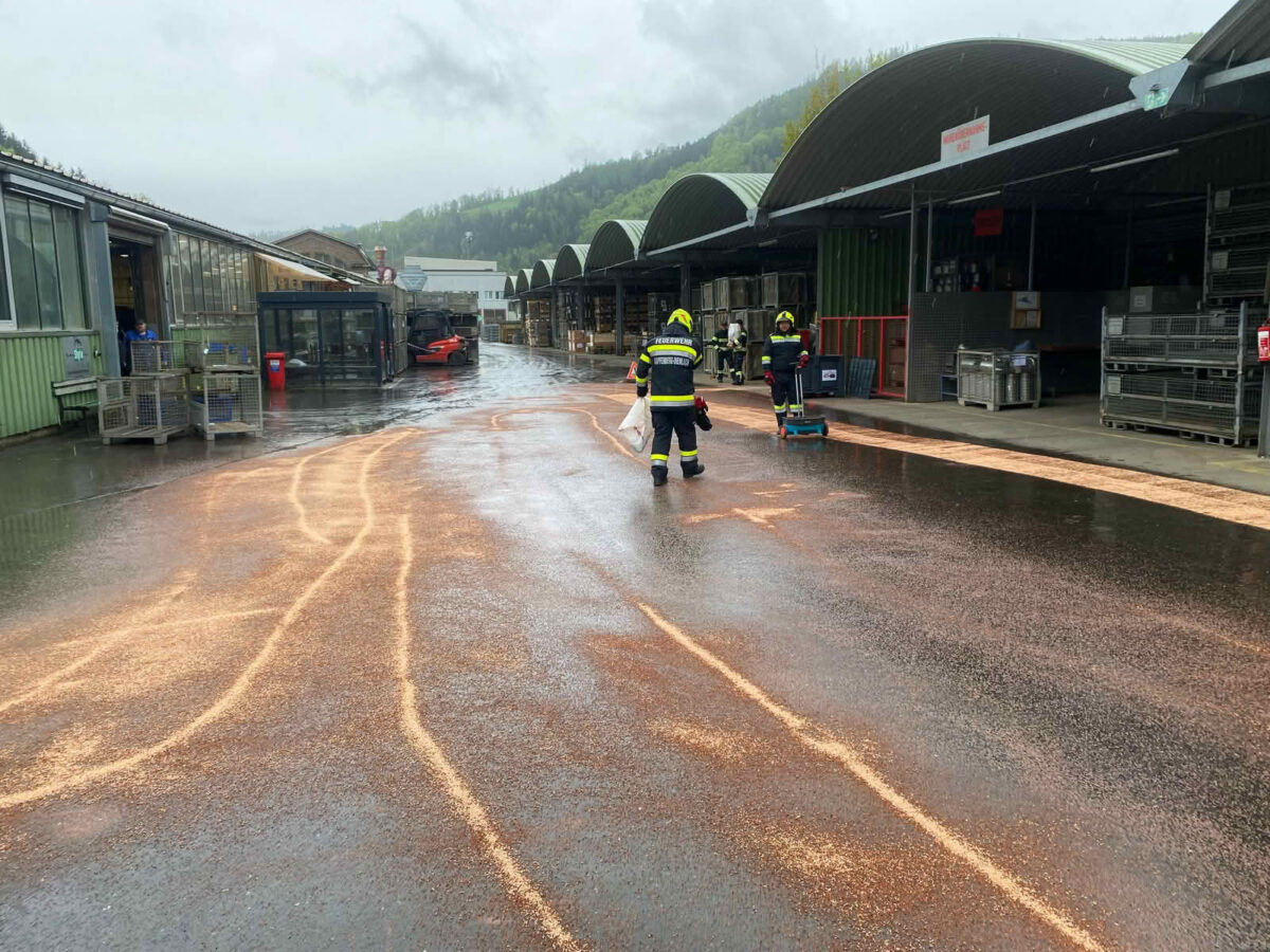 Massiver Ölverlust bei Stapler