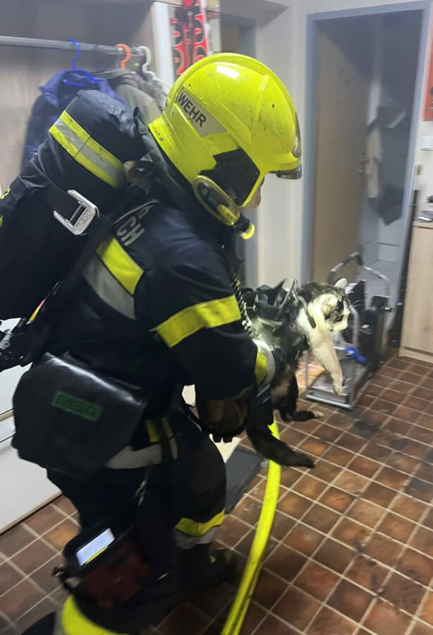 Dramatischer Balkonbrand in Villach, 2 Katzen durch die Feuerwehr gerettet.