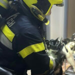 HFW Villach: Dramatischer Balkonbrand, 2 Katzen gerettet