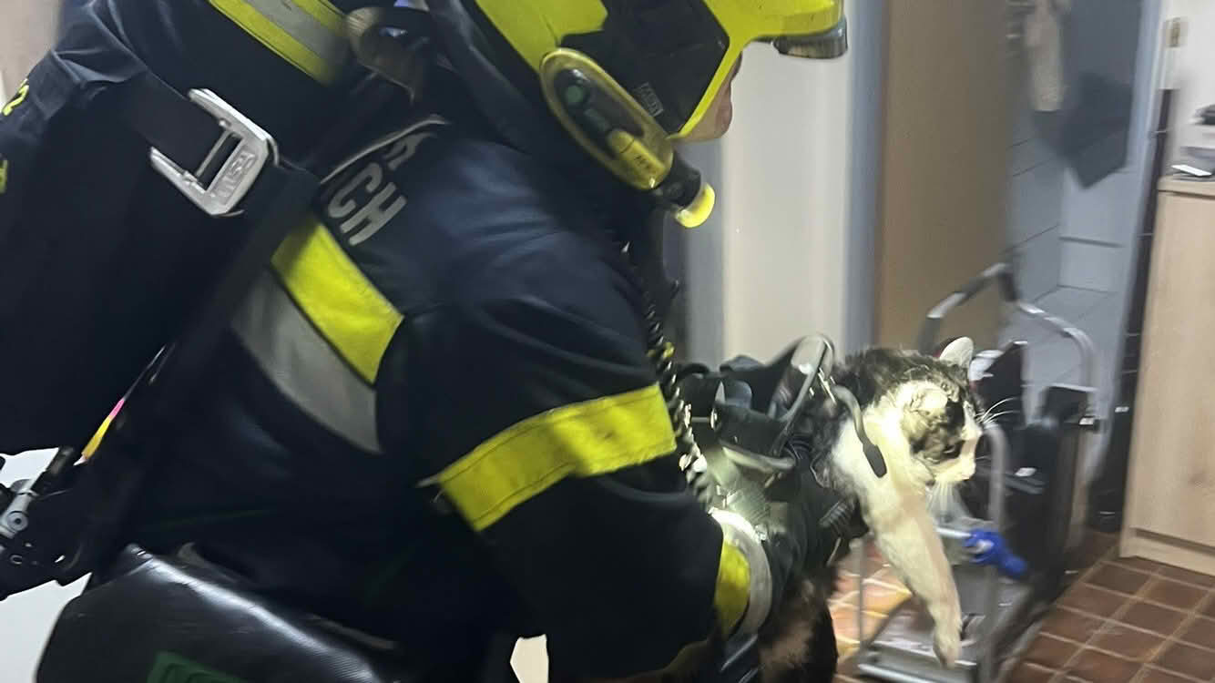 HFW Villach: Dramatischer Balkonbrand, 2 Katzen gerettet