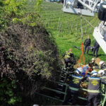 BF Wien: 6-jähriges Mädchen aus Rückhaltebecken gerettet