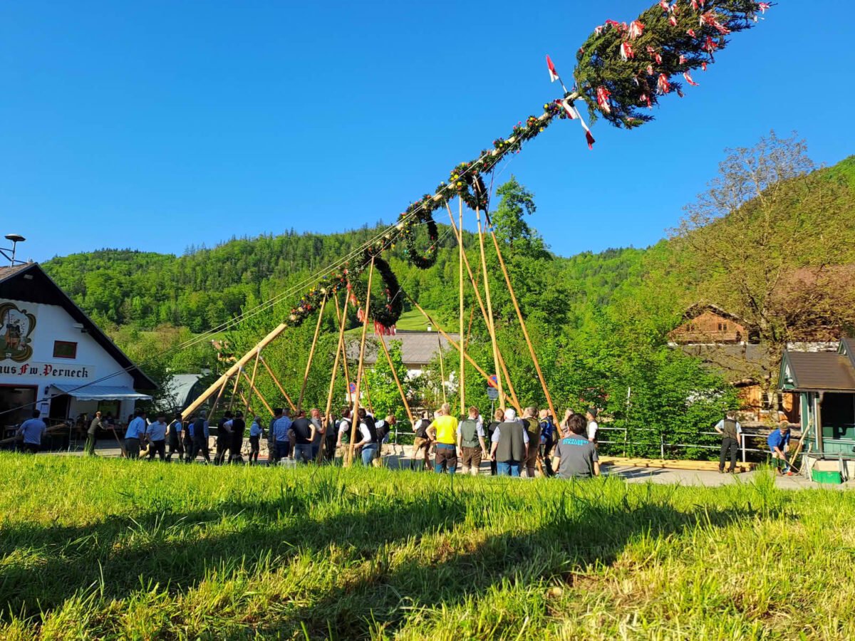 Pernecker Maibaum