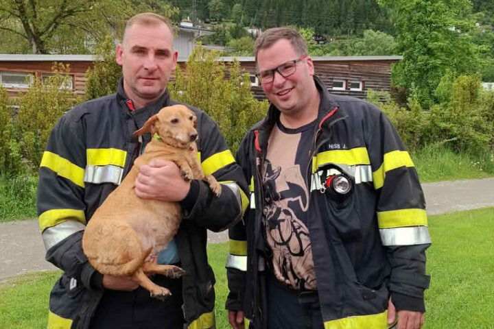 FF Kapfenberg-Diemlach: Hund „Hildegard“ gerettet