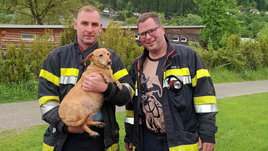 FF Kapfenberg-Diemlach: Hund „Hildegard“ gerettet