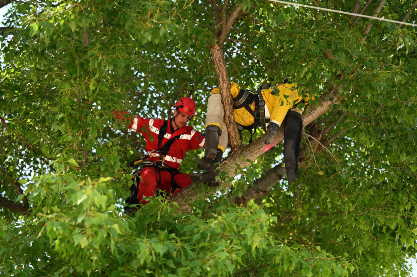 Fortbildung der Höhenrettungsgruppen der österreichischen Berufsfeuerwehren