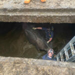 AFKDO Bad Mitterndorf: Morgentliche Tierrettung der FF Neuhofen