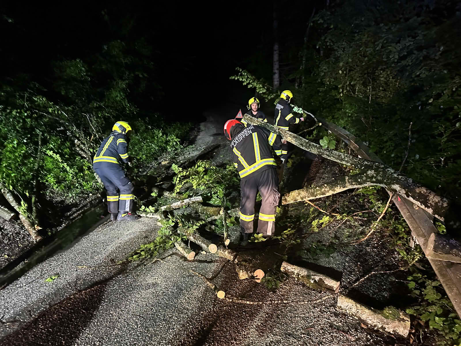 FF Lauffen: Umgestürzter Baum