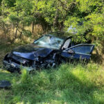 BFK Neusiedl am See: Tödlicher Verkehrsunfall in Neudorf bei Parndorf