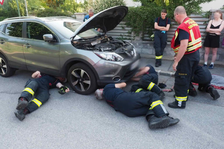 FF Biedermannsdorf: Katze in Zwangslage in PKW-Motorraum