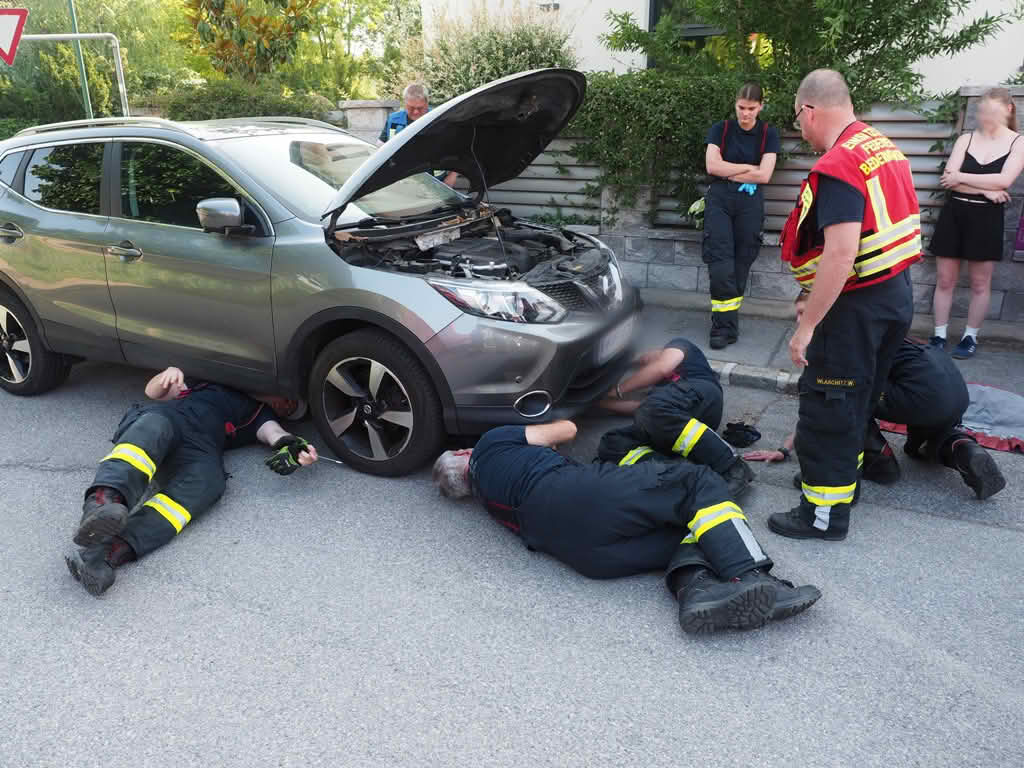 FF Biedermannsdorf: Katze in Zwangslage in PKW-Motorraum