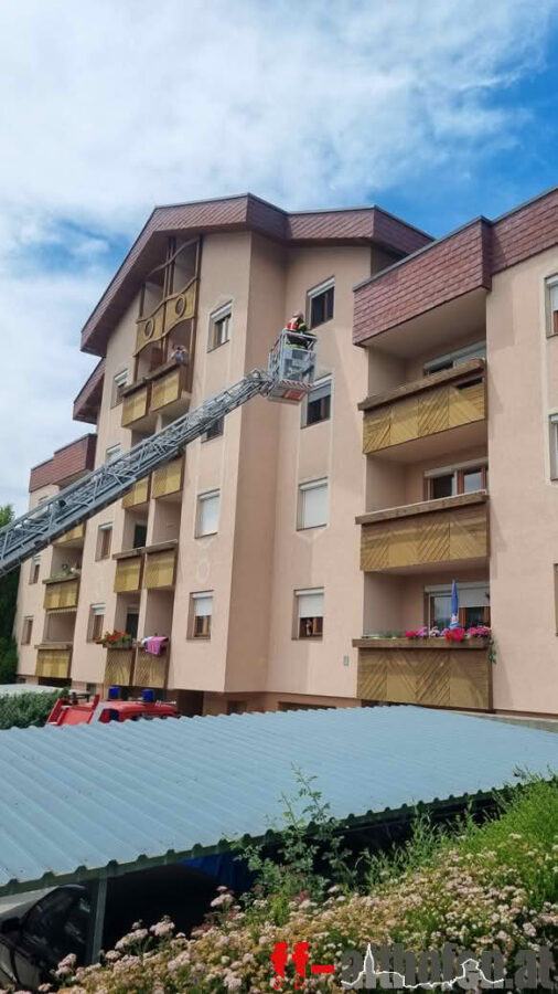 Turmfalke und Igel gerettet