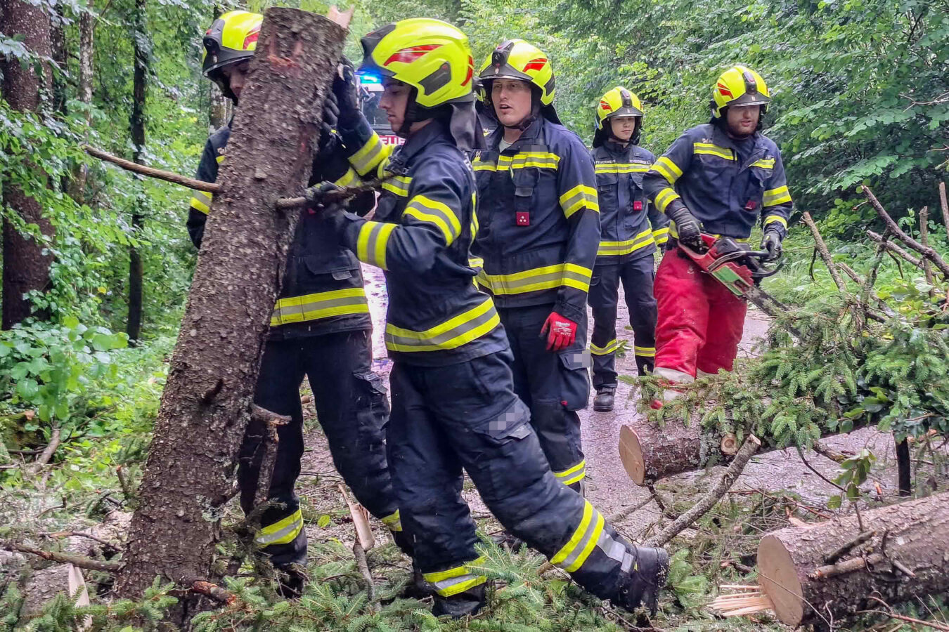 Unwetter bescherte Feuerwehreinsätze
