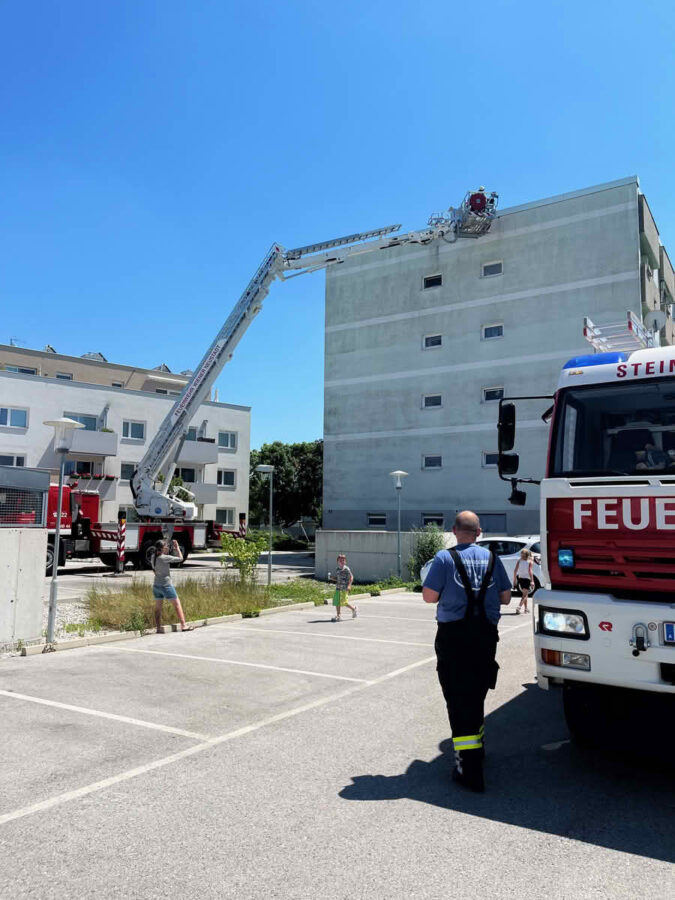 Rettung eines Mauerseglers