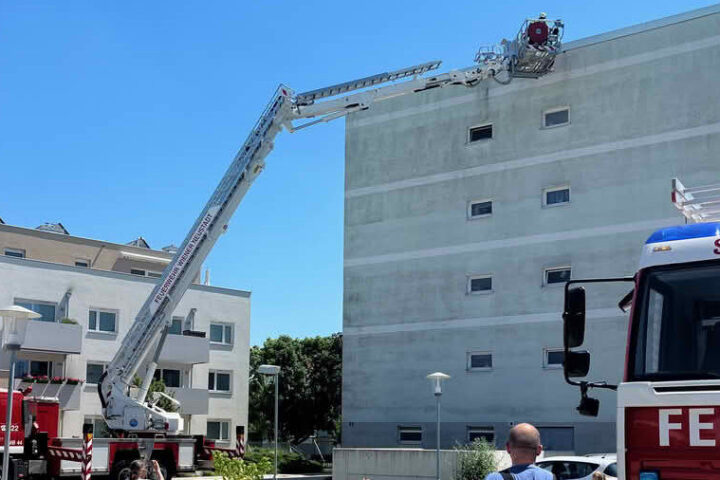 FF Steinabrückl: Rettung eines Mauerseglers