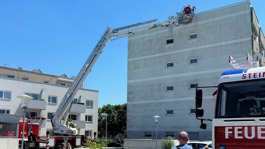 FF Steinabrückl: Rettung eines Mauerseglers